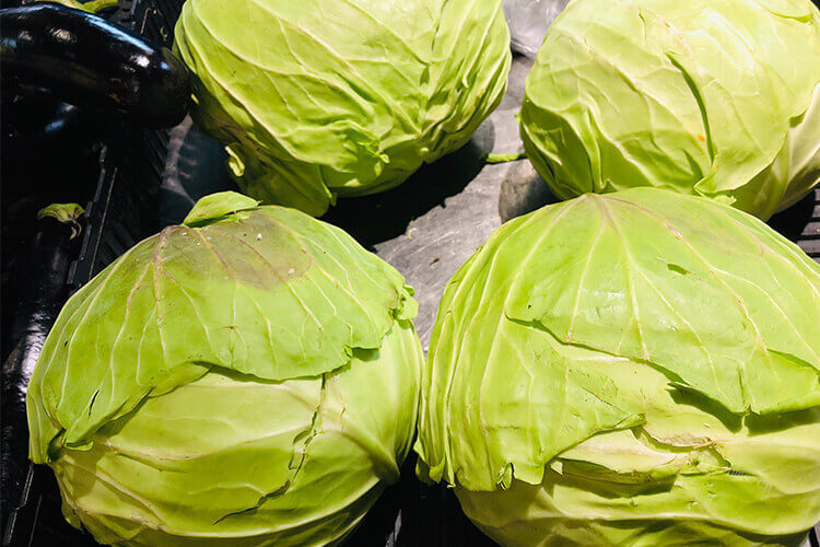 平包菜和卷心菜的区别在哪里啊，哪一个比较好吃？