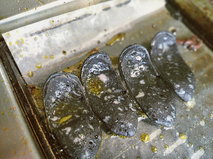 最接近大自然的烤肉店,四面环山绿色清新,真的是秀色可餐 最接近大自然的烤肉店,四面环山绿色清新,真的是秀色可餐