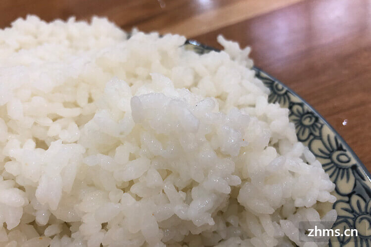 哪种米煮干饭好吃
