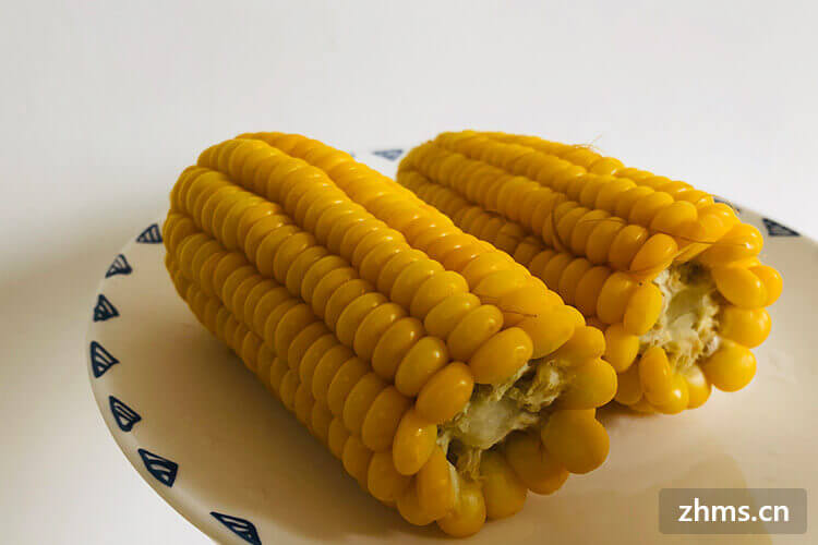 甜玉米转基因