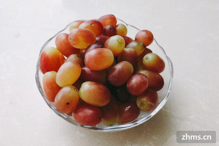 到了吃葡萄的季节了，夏黑葡萄与巨峰葡萄哪个品种好？