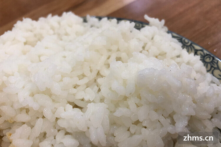 米豆腐和米饭哪个的热量高 米豆腐和米饭哪个的热量高