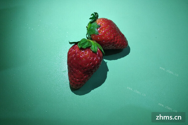 想去草莓园采摘新鲜的草莓，上海草莓采摘几月份？