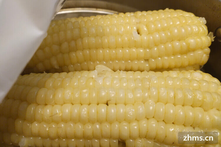糯玉米和甜玉米有什么区别？