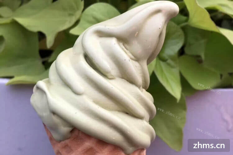 上海妙格油炸冰淇淋费用包括哪些？在哪儿开比较好？