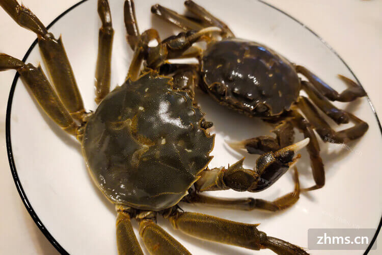 妈妈买回来两斤螃蟹，蒸螃蟹应该多长时间合适呢？