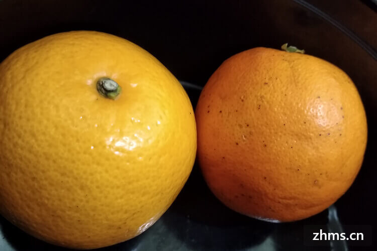 橘子哪里的好吃
