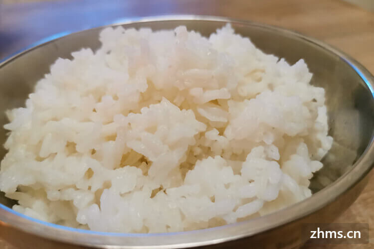 米饭需要煮多长时间能熟?