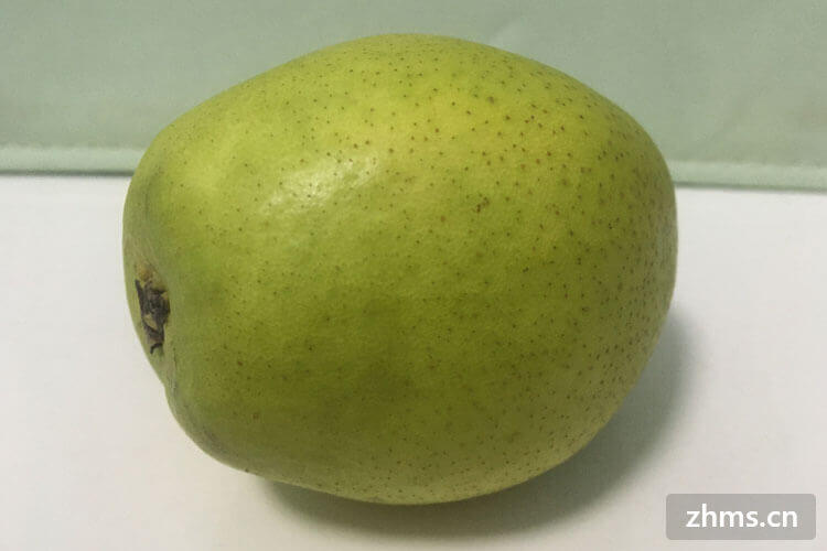 梨的品种