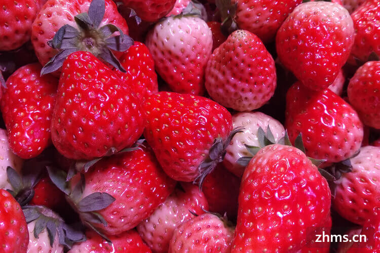 怎么选新鲜的草莓