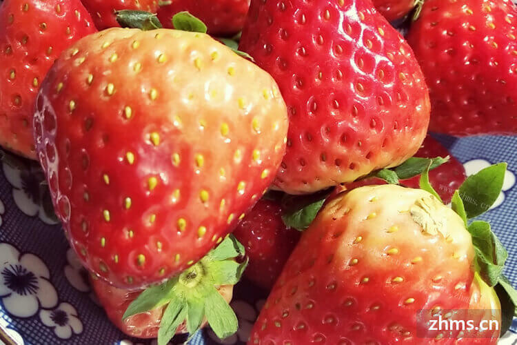 牙齿有点黄黄的，听说草莓可以洗牙，草莓洗牙怎么弄？