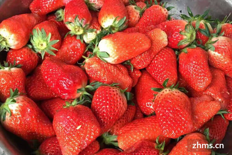 我打算去采摘一些草莓，采摘草莓几月份