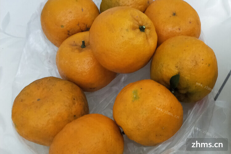  最近爱上了吃橙子，橙子是春天的水果吗？