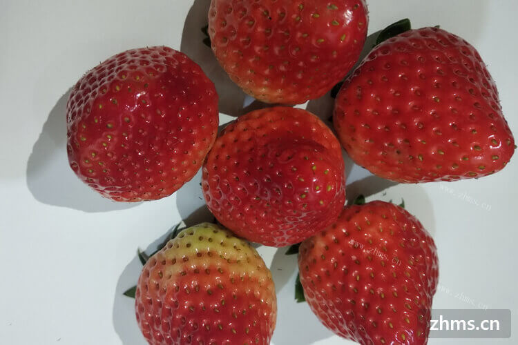 汉沽几月份摘草莓呢？摘草莓多少钱一斤呢？