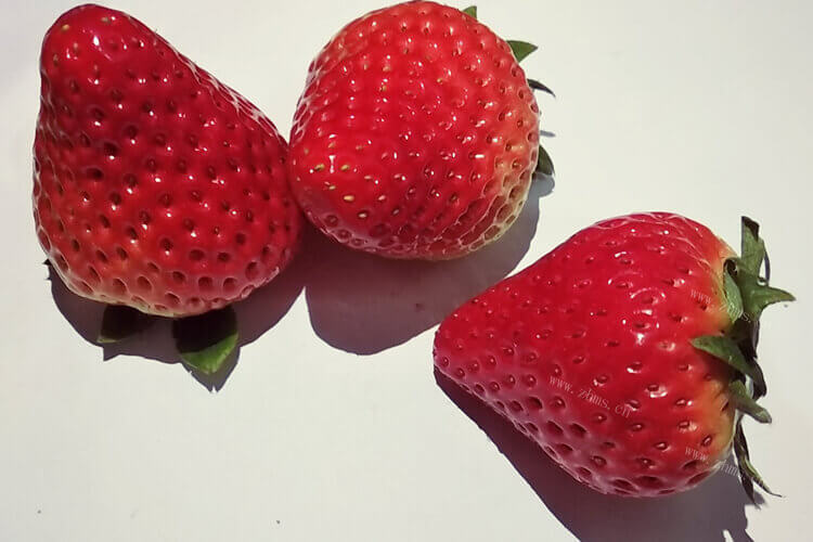 冰箱里面有一些草莓，请问草莓有点坏了可以吃吗？