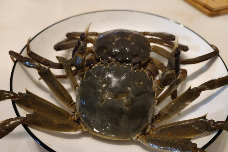 第一次煮螃蟹，想问一下清水煮螃蟹要煮多久？
