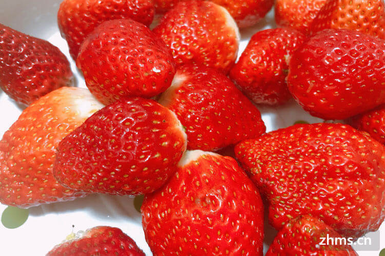 哪些水果适合春天播种？草莓可以么？