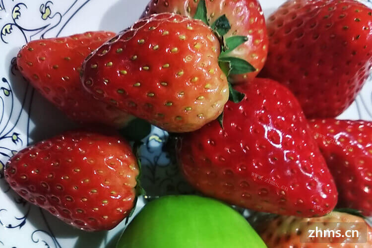 长乐草莓几月份诞生的？当地草莓价格高吗？