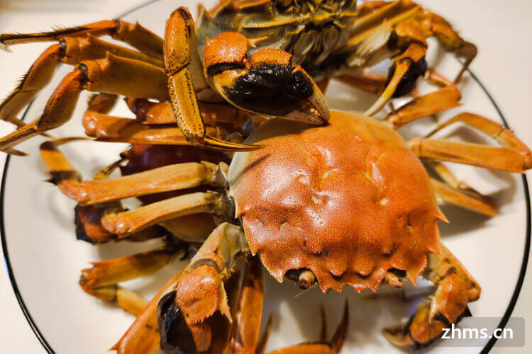 螃蟹需要在锅里蒸多长时间？蒸螃蟹需要注意的事项?