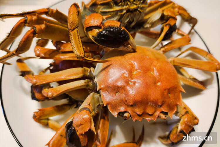 螃蟹很好吃，煮螃蟹的做法是什么呢？