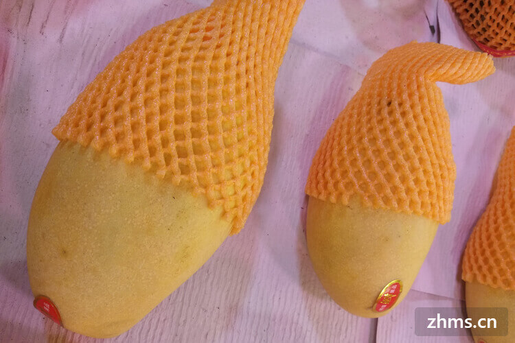 芒果的季节一般在几月份