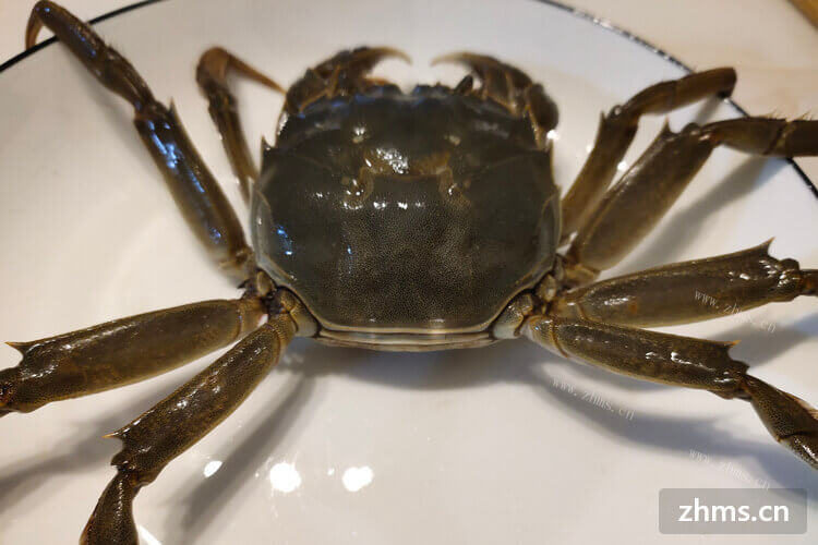第一次吃螃蟹，请问螃蟹脚里面的肉怎么吃？