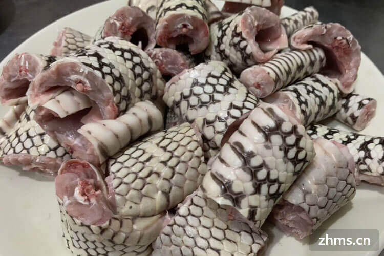 蛇肉怎么做好吃