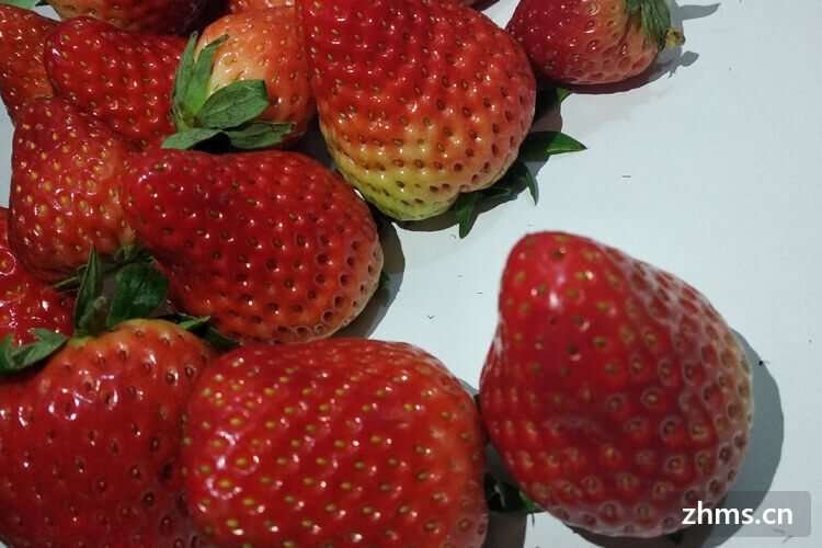 草莓营养