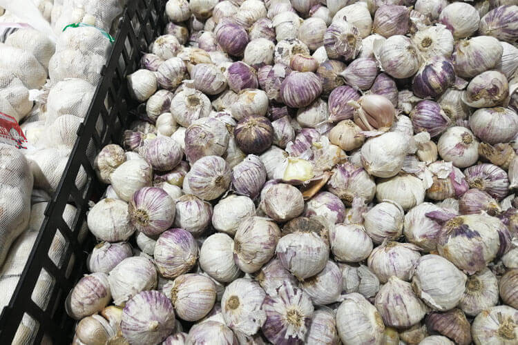 藠头和大蒜的经常搞混，请问藠头和大蒜的区别是什么？