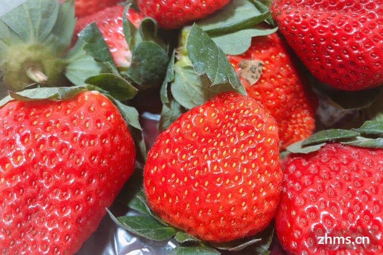 洗草莓用盐水能洗的干净吗？还有哪些妙招可以清洗干净？