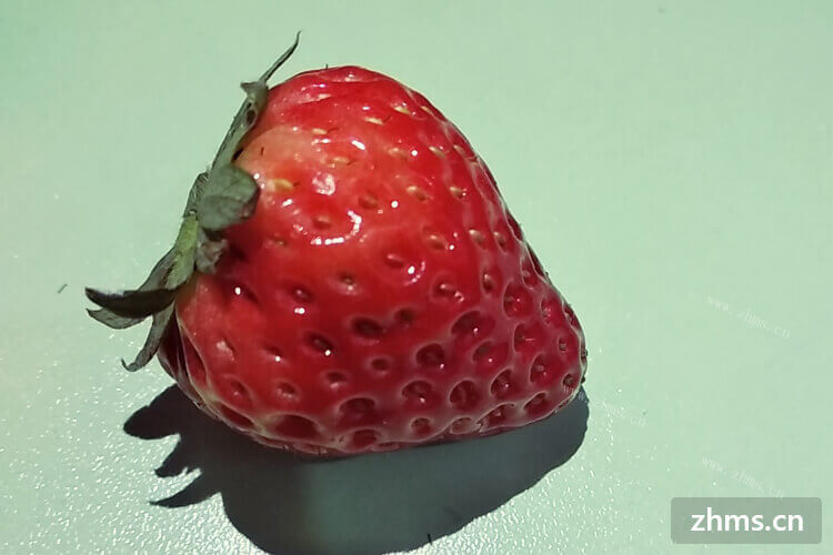 请问有人告诉我几月份摘草莓吗？想找个农家乐摘草莓。