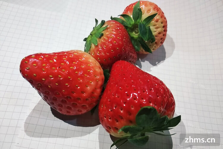 家里买的草莓居然发芽了，问一问草莓发芽了还能吃吗？