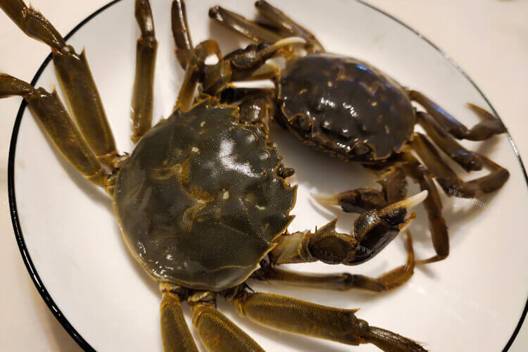 第一次煮螃蟹，不知道螃蟹生煮煮多久？