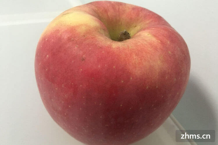 苹果属于哪类水果