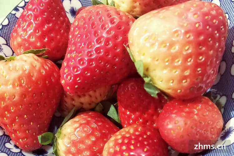在北方地区，4月种草莓几月收获啊？