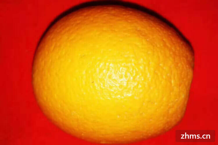 橙子什么时候成熟
