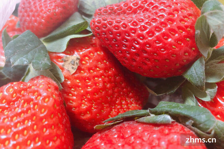冬天大棚草莓几月份成熟
