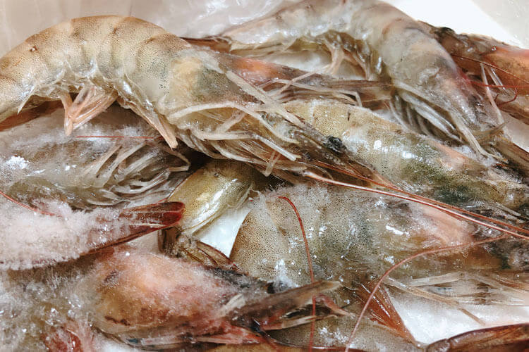 冻的黄虾需要解冻蒸吗，第一次吃？