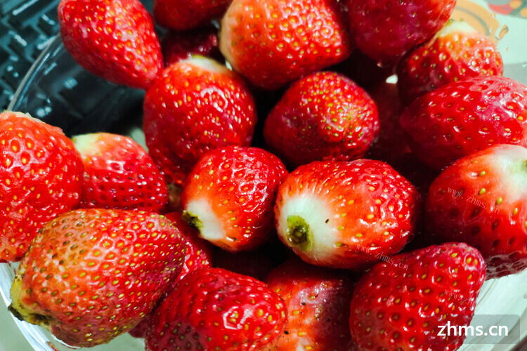 西安草莓采摘是几月份呢？采摘草莓一般多少钱一斤呢？