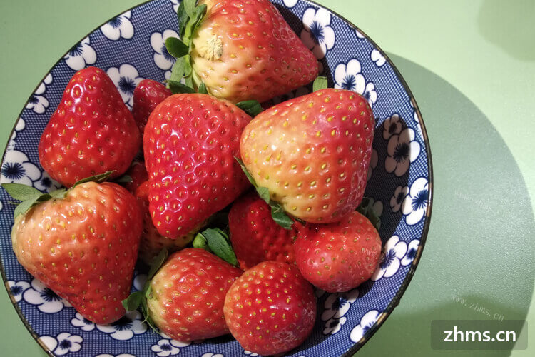 哪些水果适合春天播种？草莓可以么？