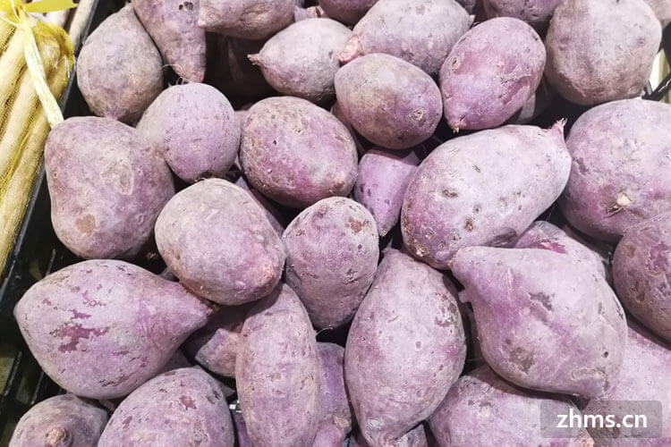 紫薯需要冷藏吗