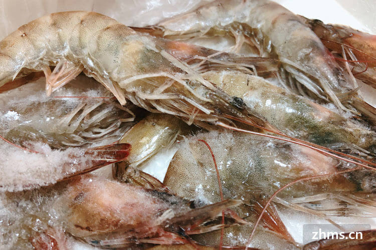 竹节虾和基围虾的区别在哪