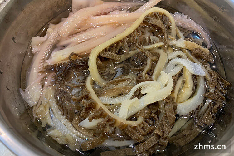 千层肚是牛的哪个部位