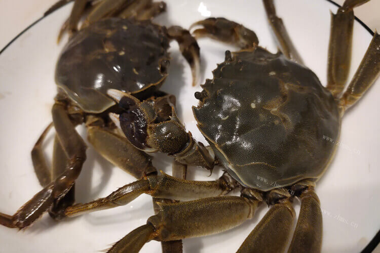 买来的螃蟹，放一晚后，螃蟹蒸出来腮是黑的还能吃吗？
