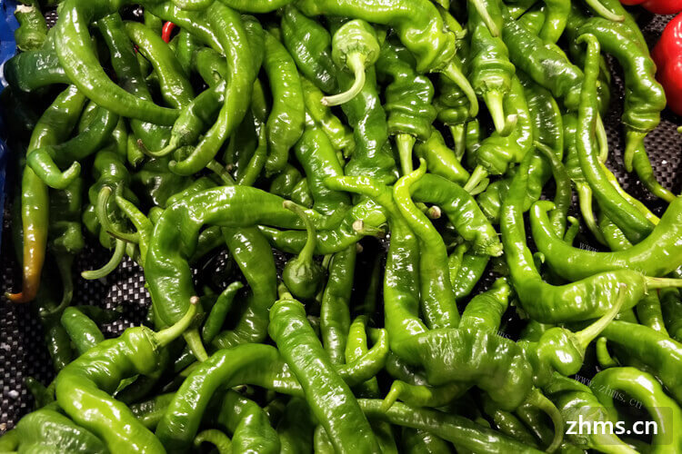 对青椒的做法不太了解，青椒怎么吃比较好吃？