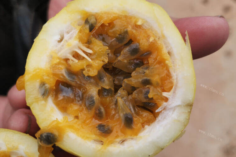 很多人都喜欢制作各种各样的美食，腌制柠檬百香果蜂蜜可以放多久