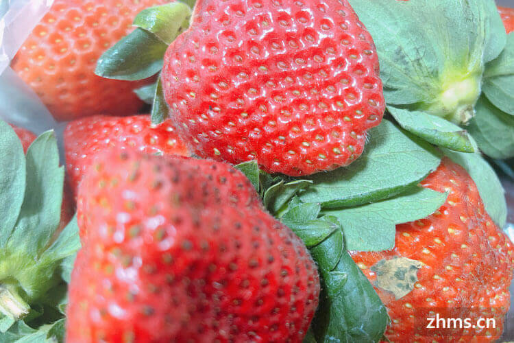 草莓有大有小，那么草莓选大的好还是小的好呢？