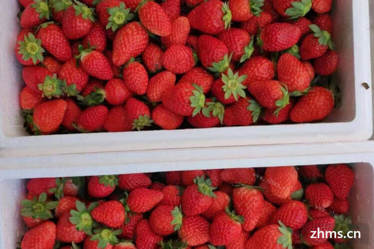 我买了一斤草莓，请问草莓怎么洗比较干净？
