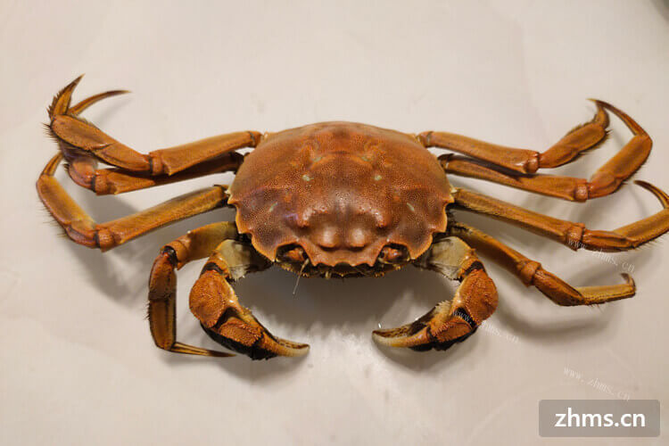 今天朋友送一些海螃蟹过来，请问海螃蟹一般要蒸多长时间熟
