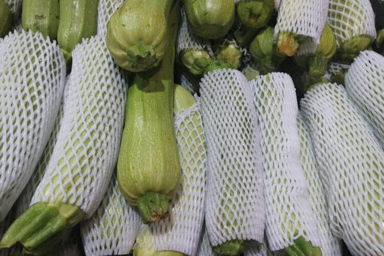 作为厨房小白，想知道西葫芦和笋瓜是一个品种吗？
